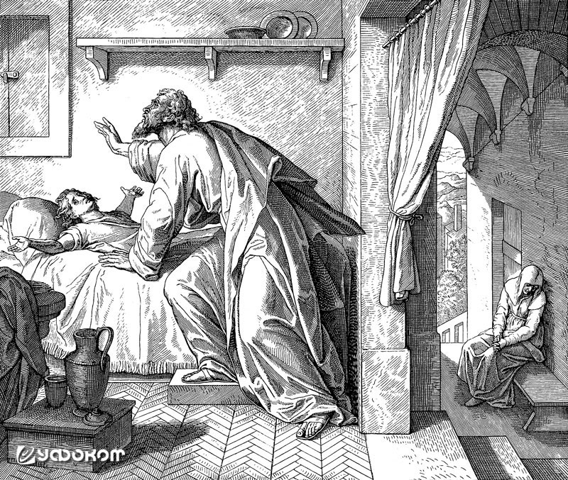 «Пророк Илия воскрешает сына вдовы». Одна из 240 гравюр созданных Юлиусом Шнорром фон Карольсфельдом в 1850-х годах для издания «Библии в картинах» («Die Bibel in Bildern»).