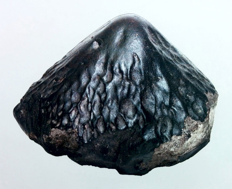 Каменный метеорит Каракол, весом 2,8 кг, упавший 9 мая 1840 года в Семипалатинской губернии. Имеет резко выраженную ориентированную (коническую) форму и четкий регмаглиптовый рельеф.