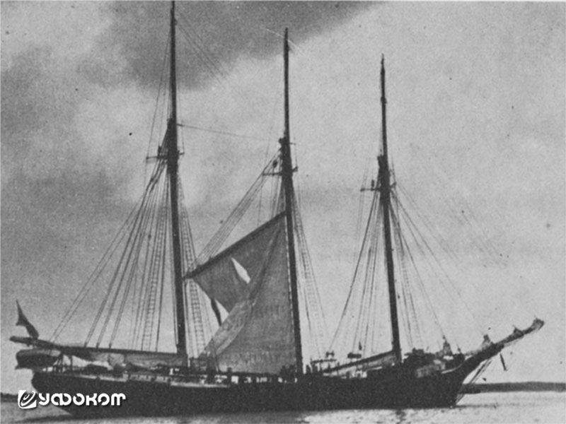 Спасенная шхуна «Marion G. Douglas» с порванным парусом [15].