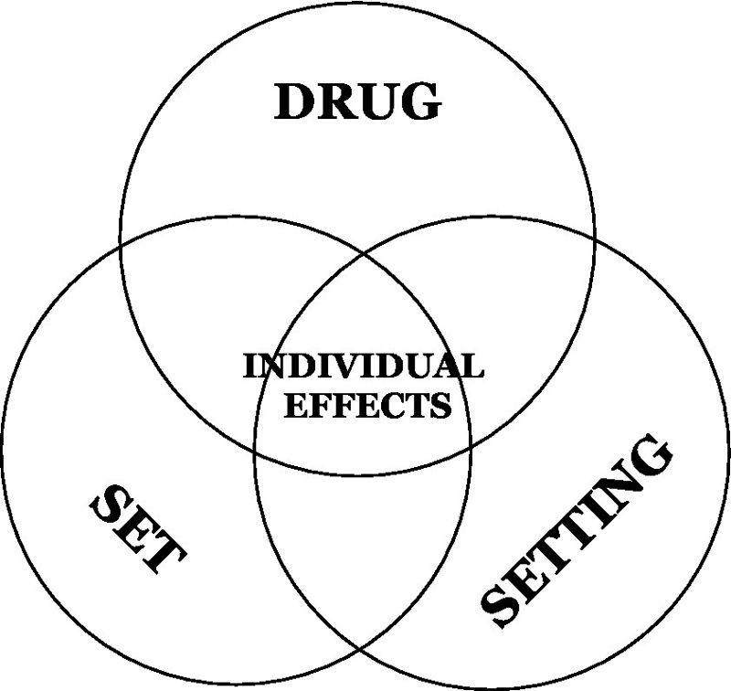 Концепция «Drug, Set, and Setting» (Вещество, Установка и Обстановка), используемая для объяснения факторов, влияющих на эффекты психоактивных веществ.
