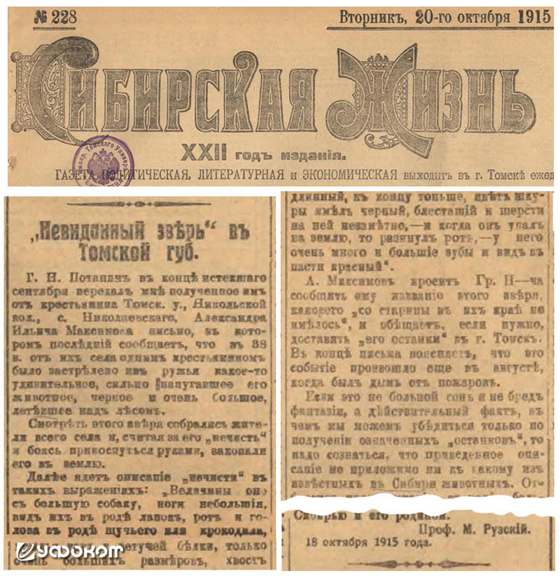 Статья проф. Рузского. «Сибирская жизнь», 20 октября 1915 г.