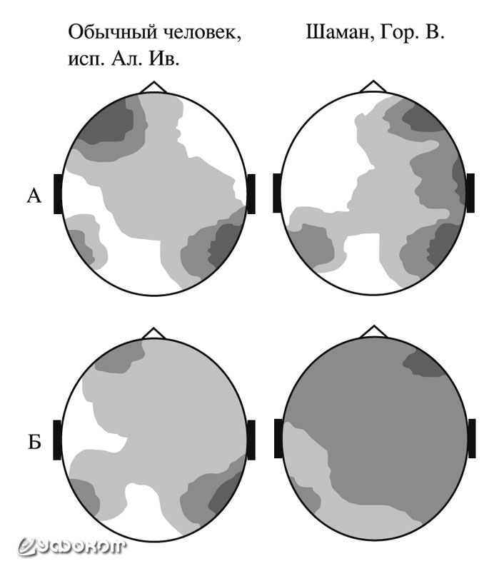 Рис. 9. Типичные формы пространственной организации биопотенциалов у обычных людей и шаманов: А – «простые» взаимосвязи; Б – «сложные» взаимосвязи.