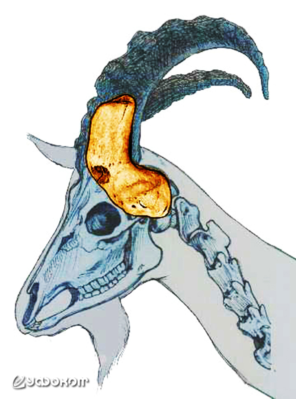 07-polojenie.jpg